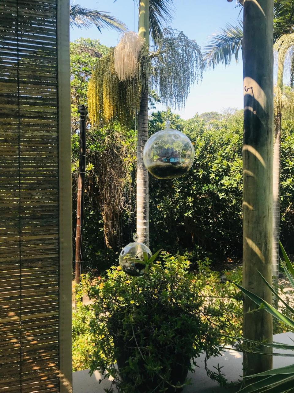 Beach Forest Lodge バリート エクステリア 写真