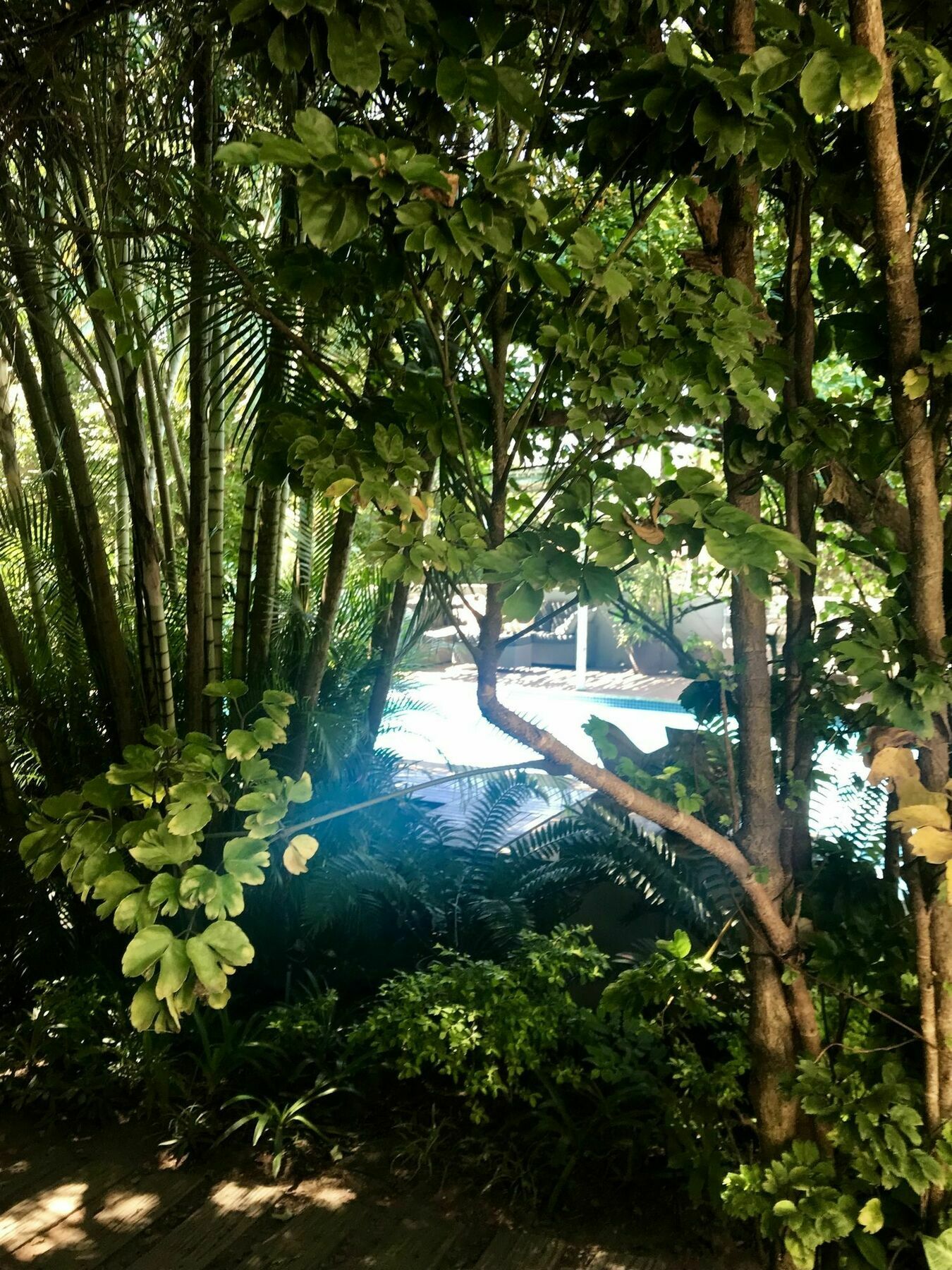Beach Forest Lodge バリート エクステリア 写真